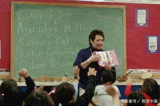 汉语国际教育与语文教育的区别
